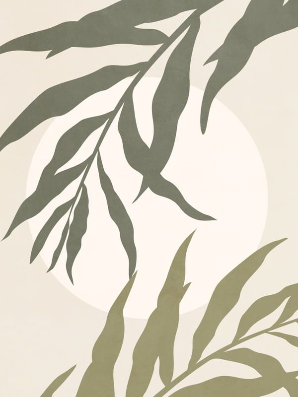 "Lumière Naturelle"